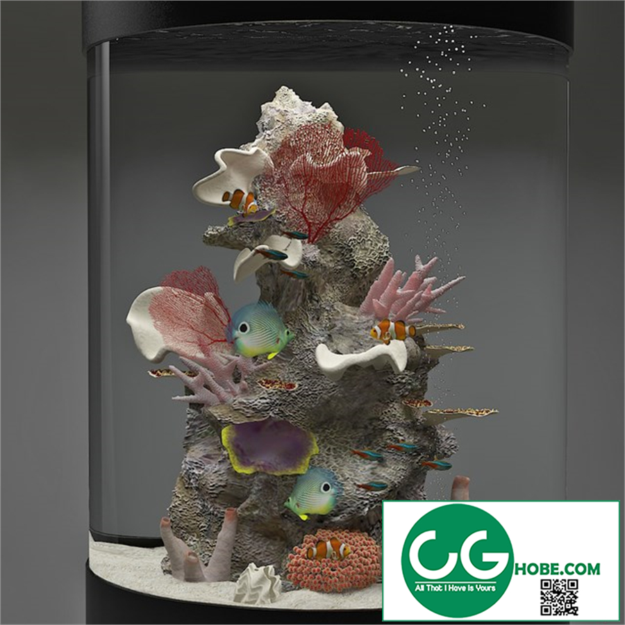 Aquarium